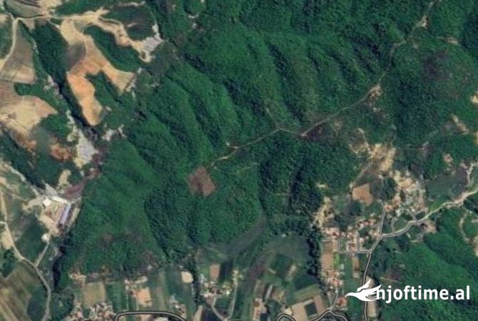Truall ose Toke ne Tirane - 180,000 Euro