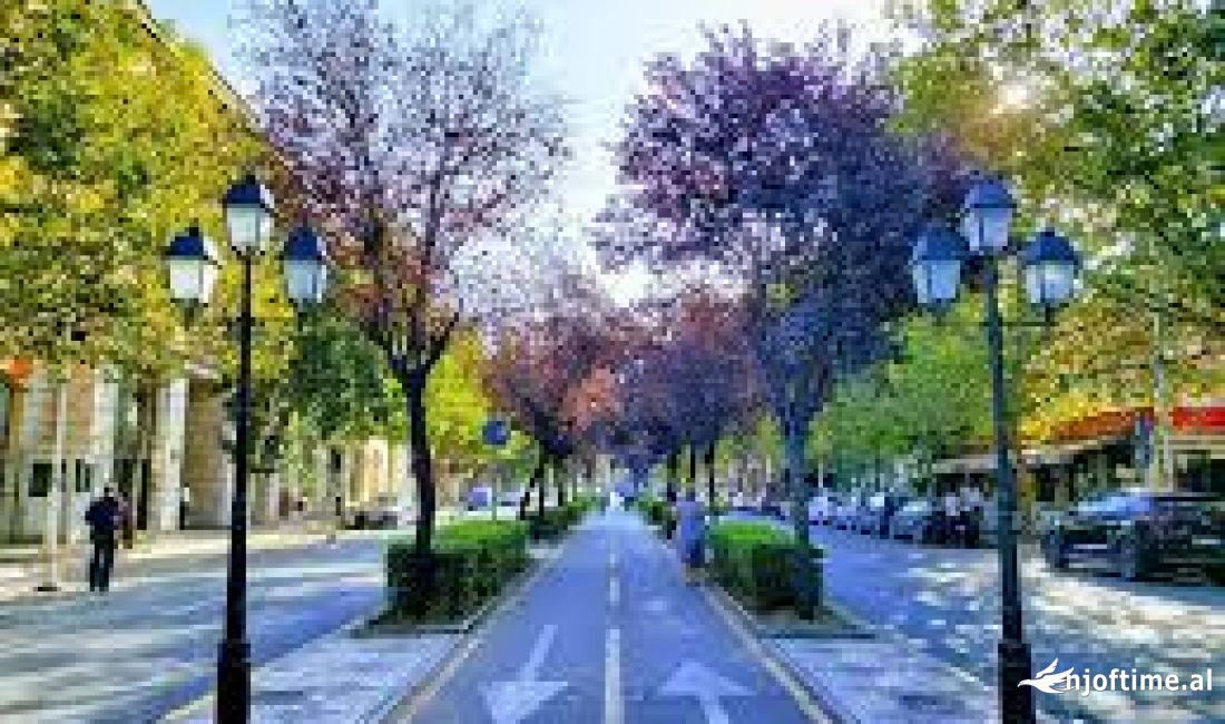 Shtepi me qera Apartament ne Tirane, 2+1, Mobilimi E mobiluar, Pagesa 800  Euro.