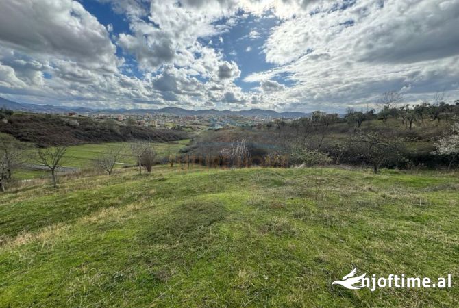 Truall ose Toke  ne Tirane - 500,000 Euro