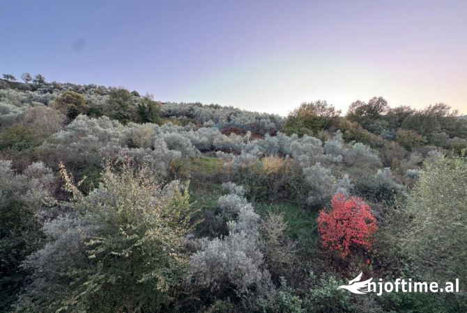 Shtepi ne shitje Apartament ne Tirane, 2+1, Mobilimi E mobiluar, Pagesa 225,000  Euro.