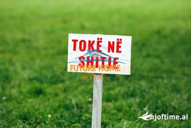 Truall ose Toke  ne Lezhe - 341,250 Euro