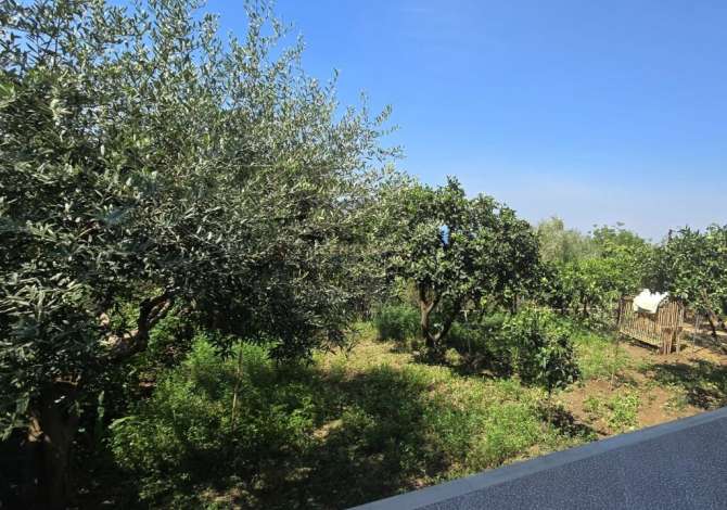Terreno in vendita  a Valona - 2,200,000 Euro
