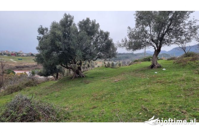 Truall ose Toke ne Tirane - 589,000 Euro