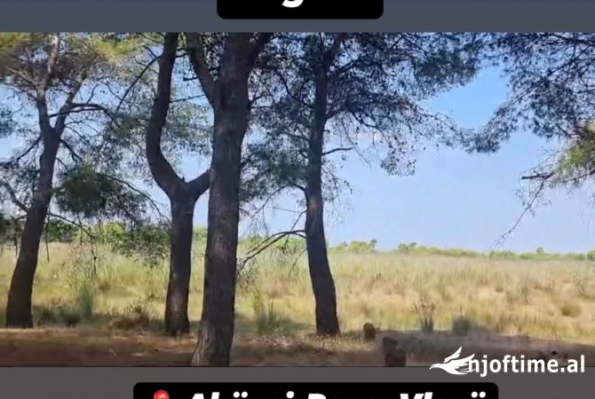 Truall ose Toke  ne Vlore - 416,000 Euro