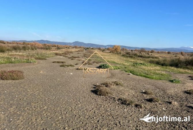 Truall ose Toke  ne Vlore - 50 Euro