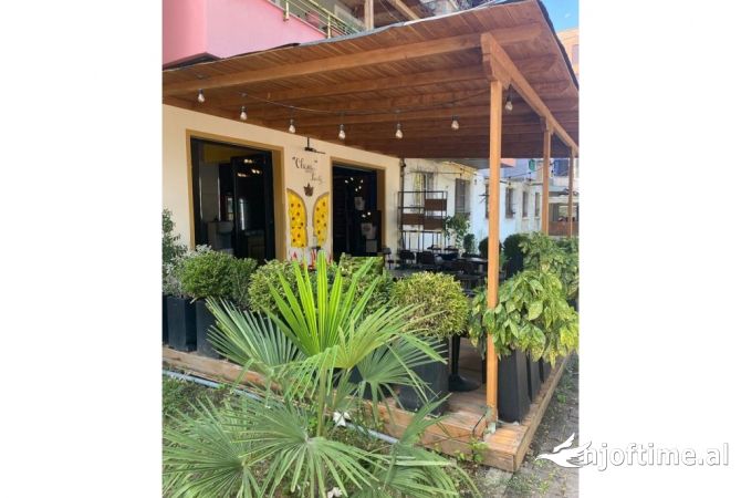 Ambient biznesi me qera 2+1 ne Tirane - 800 Euro