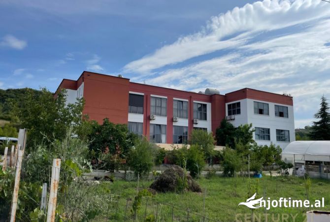 Ambient biznesi me qera 3+1 ne Tirane - 6,500 Euro