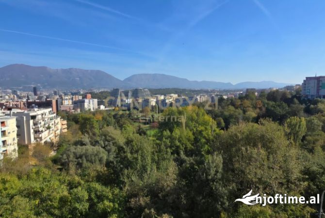 Ambient biznesi me qera 5+1 ne Tirane - 8,000 Euro