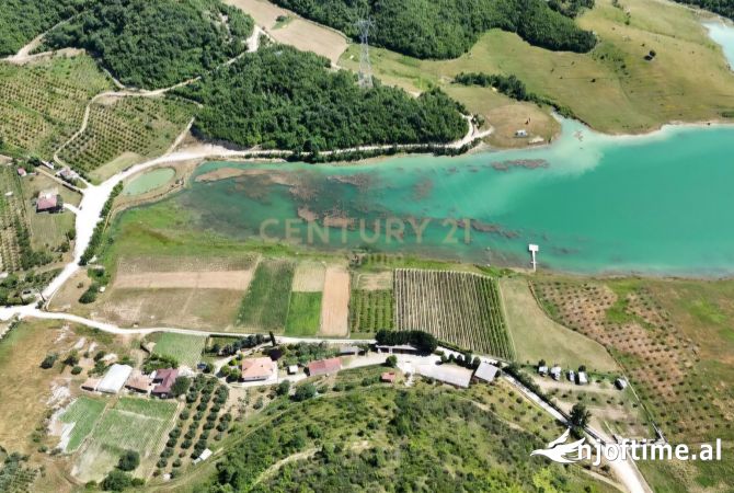 Truall ose Toke ne Tirane - 278,000 Euro