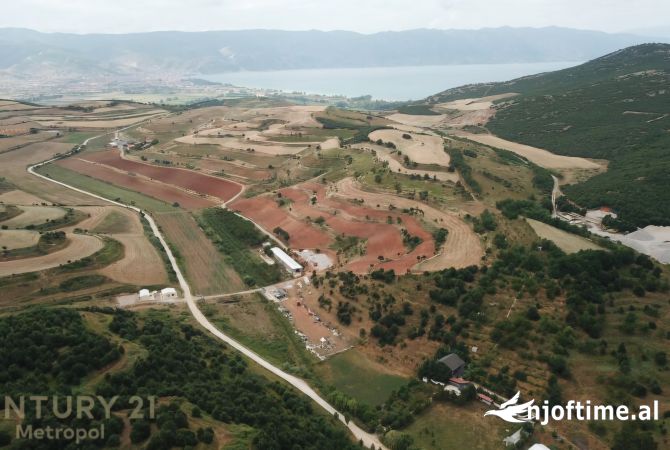 🏡 SHITET BUJTINE & 13,280 m2 TOKE NE POGRADEC | GUESTHOUSE & 13,280 m2 LAND FOR SALE IN POGRADEC!!!