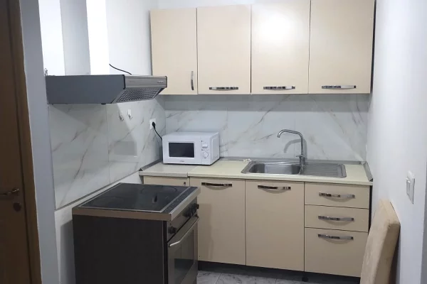 Apartment for rent in Tirana 1+1, Furnished