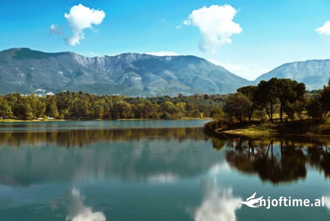 Ambient biznesi me qera 1+1 ne Tirane - 4,600 Euro