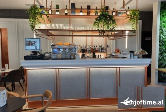 Ambient biznesi me qera 2+1 ne Tirane - 1,000 Euro