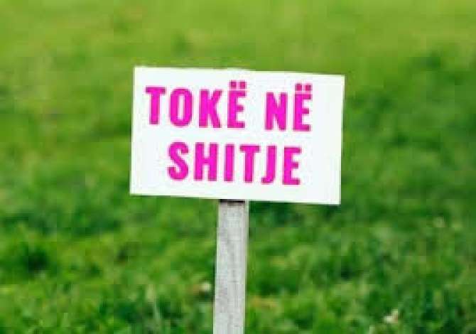 Truall ose Toke  ne Tirane - 130,000 Euro