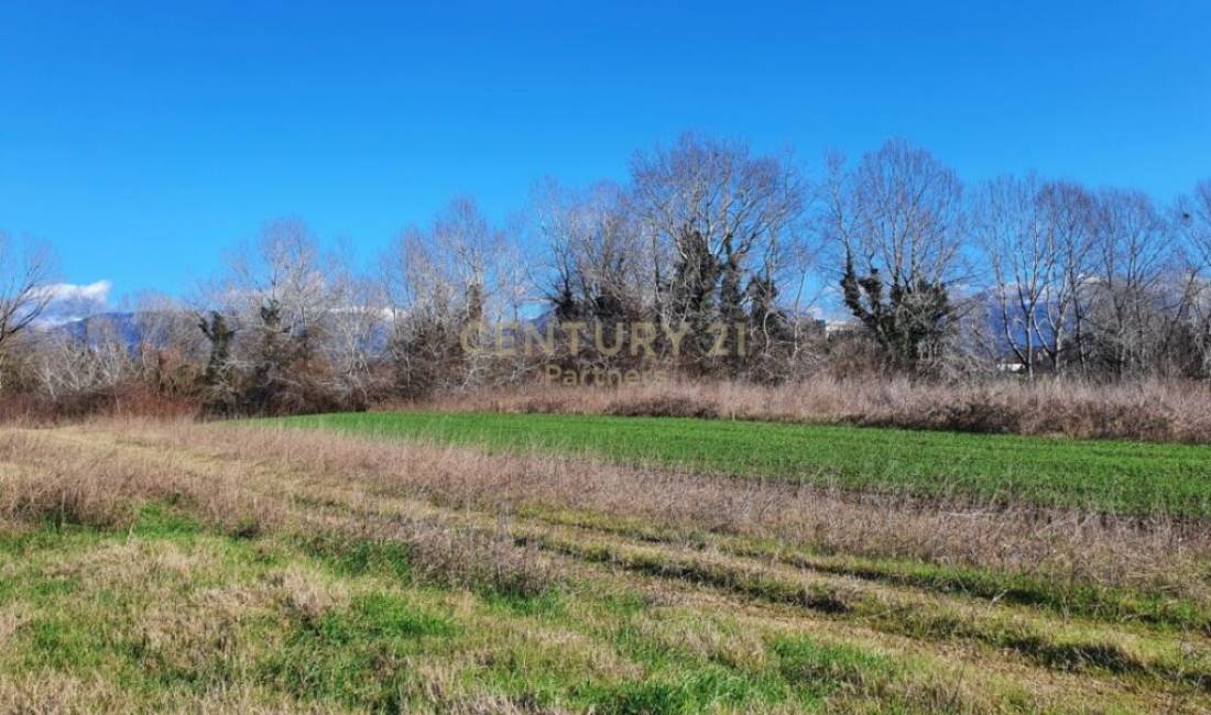 EKSKLUZIVE PER SHITJE TOKE NE AFERSI TE RINASIT 