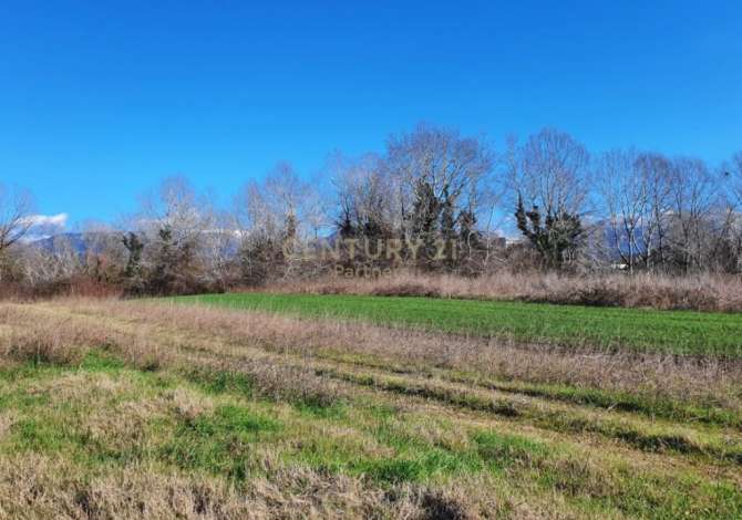 Truall ose Toke  ne Tirane - 200,000 Euro