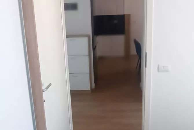 Shtepi me qera Apartament ne Tirane, 1+1, Mobilimi E mobiluar, Pagesa 500  Euro.