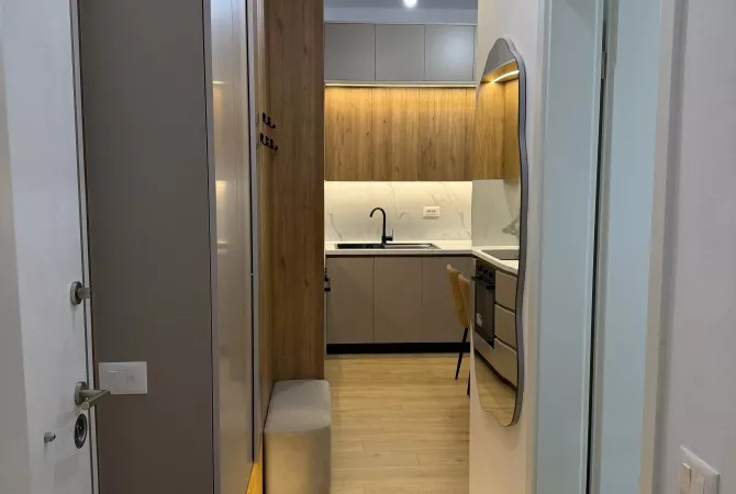 Shtepi me qera Apartament ne Tirane, 1+1, Mobilimi E mobiluar, Pagesa 550  Euro.
