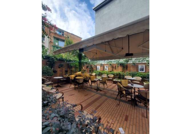 Ambient biznesi me qera 1+1 ne Tirane - 500 Euro