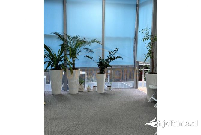 Ambient biznesi me qera 1+1 ne Tirane - 1,600 Euro