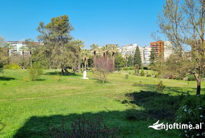 Shtepi me qera 1+1 ne Tirane - 600 Euro