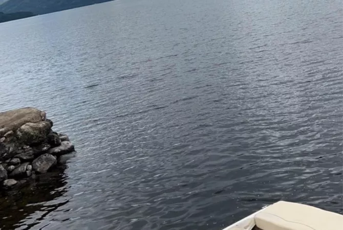 SHITET - SKAF SeaRay 180 BR