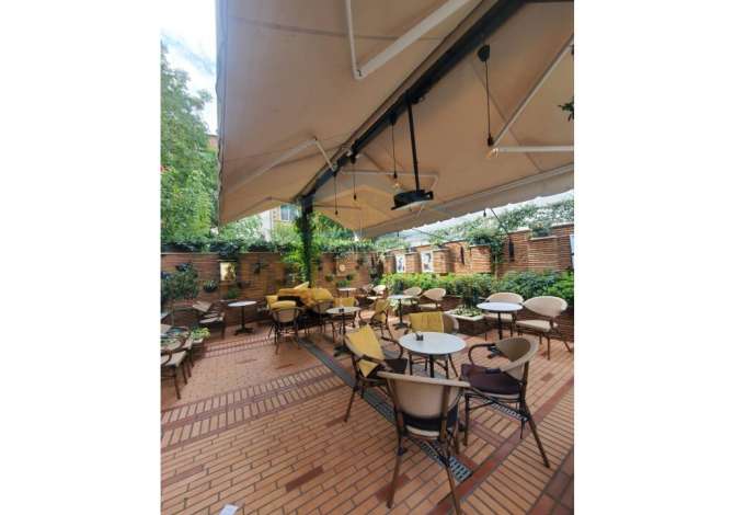 Ambient biznesi me qera 2+1 ne Tirane - 500 Euro