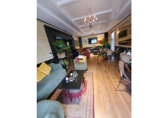 Ambient biznesi me qera 2+1 ne Tirane - 500 Euro