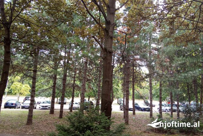 Ambient biznesi ne shitje 3+1 ne Peje - 248,000 Euro