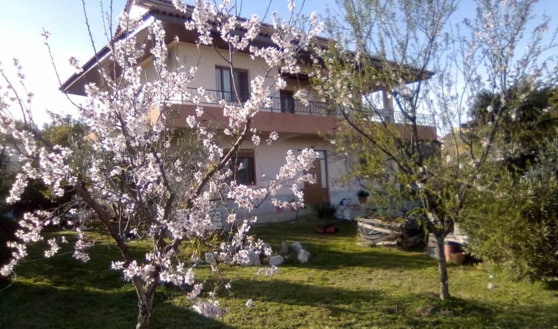 Foto 6