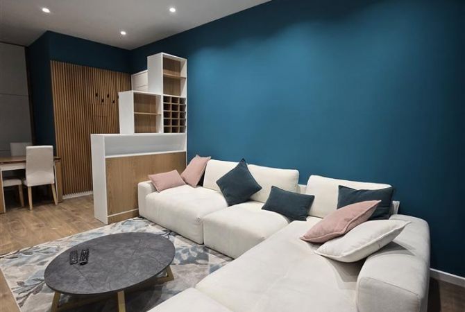 Shtepi me qera Apartament ne Tirane, 1+1, Mobilimi E mobiluar, Pagesa 800  Euro.