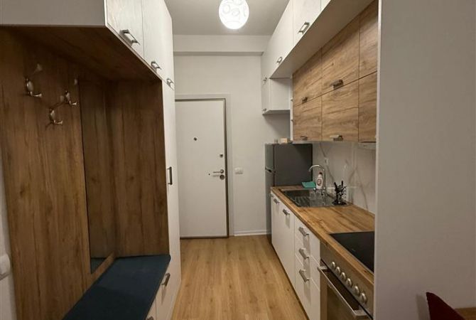 Shtepi me qera Apartament ne Tirane, 1+1, Mobilimi E mobiluar, Pagesa 400  Euro.