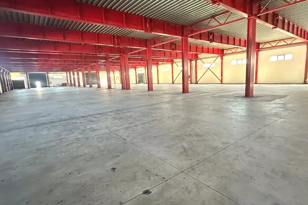 Business Property for Rent 4+1 in Tirana - 6,000 Euro