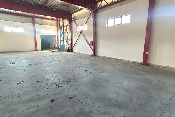 Business Property for Rent 4+1 in Tirana - 6,000 Euro