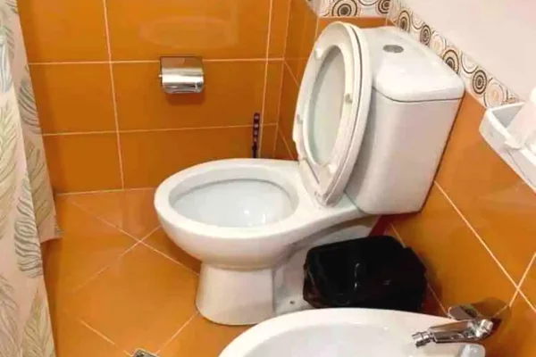 Shtepi ne shitje Apartament ne Tirane, 2+1, Mobilimi E mobiluar, Pagesa 185,009  Euro.