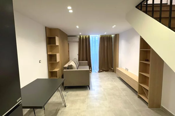 Shtepi ne shitje Duplex(shtepi me 2 kate) ne Tirane, 1+1, Mobilimi E mobiluar, Pagesa 122,009  Euro.