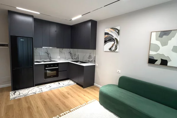 Shtepi ne shitje Apartament ne Tirane, 1+1, Mobilimi E mobiluar, Pagesa 121,009  Euro.