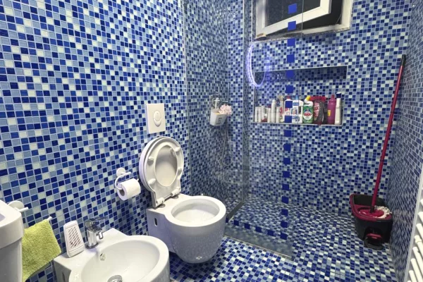 Shtepi me qera Apartament ne Tirane, 2+1, Mobilimi E mobiluar, Pagesa 889  Euro.