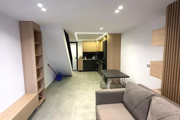 Shtepi ne shitje Apartament ne Tirane, 1+1, Mobilimi E mobiluar, Pagesa 119,270  Euro.