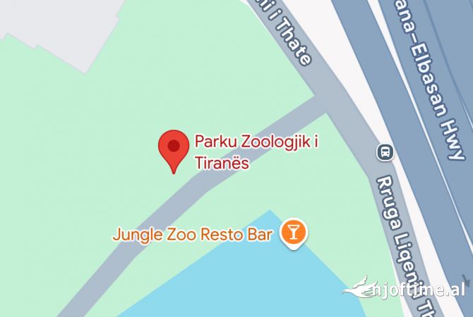 Shtepi ne shitje 2+1 ne Tirane - 185,000 Euro