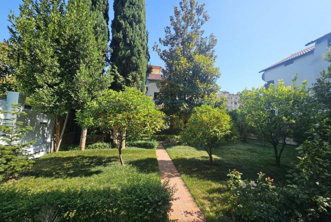 Shtepi me qera Apartament ne Tirane, 3+1, Mobilimi E mobiluar, Pagesa 800  Euro.