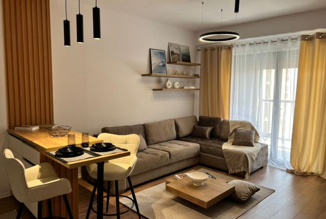House for Rent 1+1 in Tirana - 600 Euro