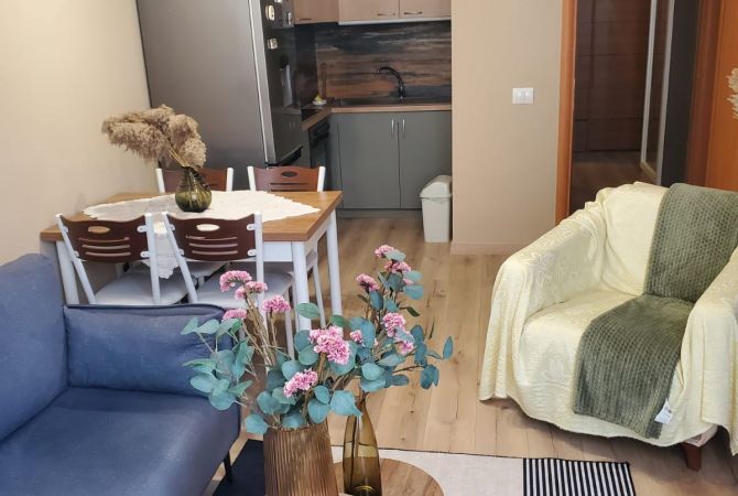 Shtepi me qera 1+1 ne Tirane - 500 Euro