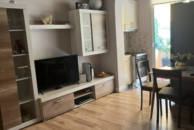 Shtepi ne shitje 1+1 ne Tirane - 100,000 Euro