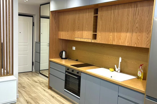 Casa in affitto 1+1 a Tirana - 650 Euro