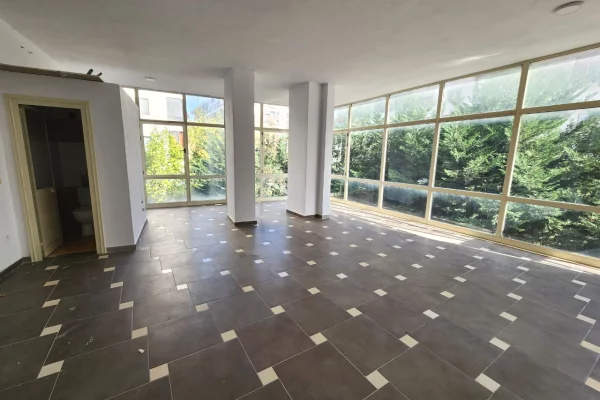 Ambient biznesi me qera 3+1 ne Tirane - 350 Euro