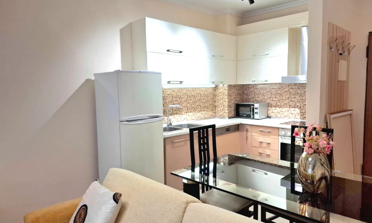 Apartment for rent in Tirana 1+1, Furnished