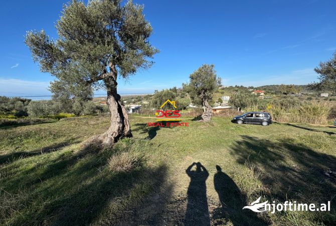 Truall ose Toke  ne Vlore - 52,000 Euro
