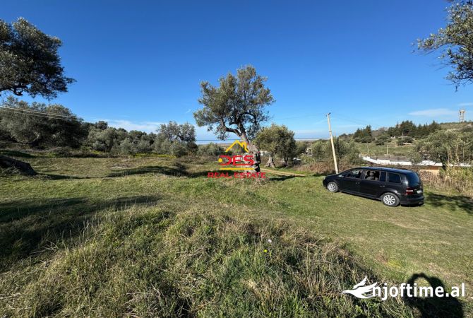 🆕🫒SHITET TOKE – ULLISHTE NE HYRJE TE FSHATIT PANAJA, VLORE ❗ Shitet ose nderrohet me apartament❗