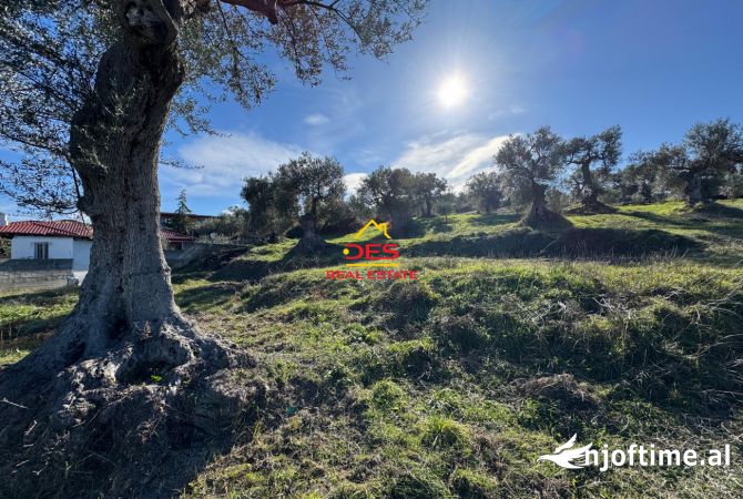 Truall ose Toke  ne Vlore - 52,000 Euro